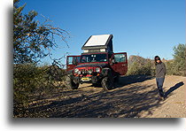 Chilly Morning::Sierra de la Giganta, Mexico::