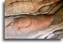 Bighorn Painting::Cochimi Indians, Baja California, Mexico::