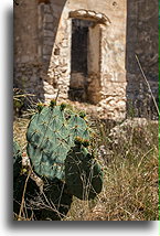 Hacienda 5 Señores #2::Mineral de Pozos. Guanajuato. Mexico::