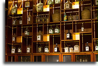 Mezcal Bottles::Oaxaca, Oaxaca, Mexico::