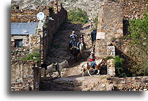 Horses::Real de Catorce, San Luis Potosi, Mexico::