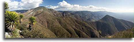 Sierra de Catorce::El Quemado, San Luis Potosi, Mexico::