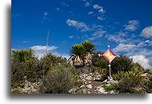 Colorful God's Eye::El Quemado, San Luis Potosi, Mexico::