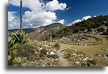 Ceremonial Circle::El Quemado, San Luis Potosi, Mexico::