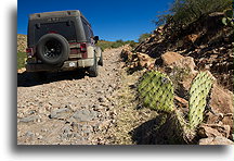 Road to San Francisco::Sierra de San Francisco, Baja California, Mexico::