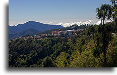 Sierra Madre del Sur::San Jose del Pacífico, Oaxaca, Mexico::