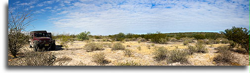 The Desert Morning::Baja California, Mexico::