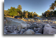 Oasis Santa Gertrudis::Santa Gertrudis, Baja California, Mexico::