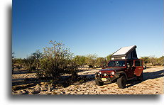 Lonely in the Desert::Baja California Desert, Mexico::