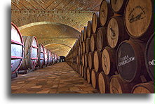 Tequila Corralejo Barrels::Tequila, Jalisco, Mexico::