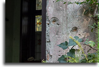 Bullet Holes::Mexico City, Mexico::