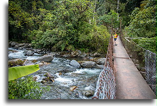 Lost Waterfalls Suspension Bridge::Boquete, Panama::