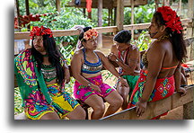 Applying jagua tattoos::Emberá Druá, Panama::