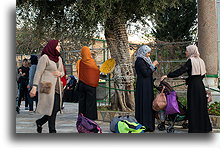 Muslim Women::Acre, Israel::