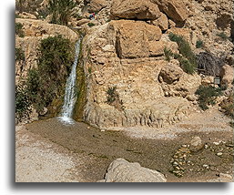 Wadi David #1::En Gedi, Israel::