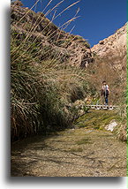 Wadi David #2::En Gedi, Israel::