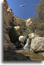 Wadi David #4::En Gedi, Israel::