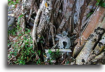 Bones and Human Skull::Hiva Oa, Marquesas::