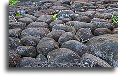 Surface of the Platform::Hiva Oa, Marquesas::