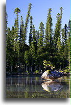 In Natural Pool::Isle of Pines, New Caledonia, South Pacific::