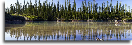 Natural Pool::Isle of Pines, New Caledonia, South Pacific::