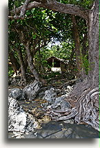 Rose Bay Bungalows::Malakula Island, Vanuatu, South Pacific::