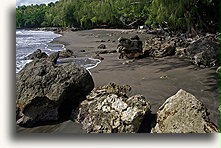 Rose Bay::Malakula Island, Vanuatu, South Pacific::