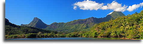 Opunohu Bay::Moorea, French Polynesia::