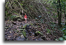 Ancient Road #3::Nuku Hiva, Marquesas::