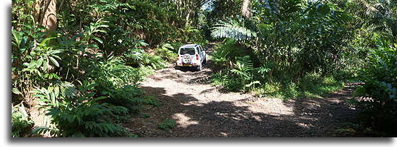 Mountain Road::Nuku Hiva, Marquesas::