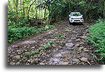 Taipivai Valley