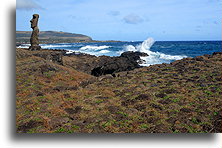 Statue at Hanga Kioe::Easter Island::