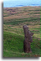 Abandoned Moai::Easter Island::