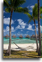 Hammock::Rangiroa, Tuamotus, French Polynesia::