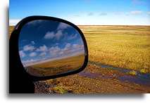 Arctic Tundra::Barrow, Alaska, USA::