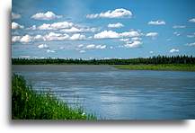 Lazy Yukon River::Alaska, United States::