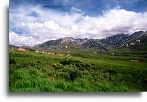 Tundra in Denali::Alaska, United States::