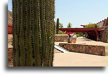 Courtyard at Taliesin West::Taliesin West, Arizona, USA::