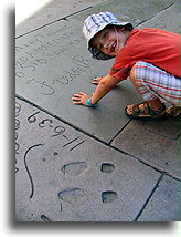 Frozen in the Cement #1::Hollywood, California, United States::