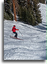 Some Moguls::Aspen Snowmass, Colorado, USA::