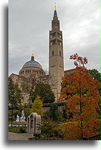 Basilica National Shrine