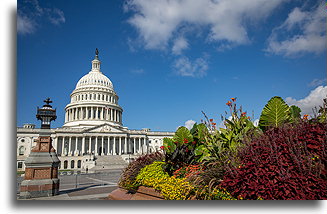 Capitol's Dome::United States Capitol, Washington D.C., USA::