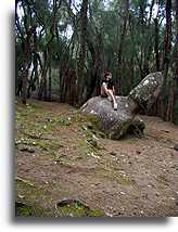 Phallic Rock::Molokai, Hawaii Islands::