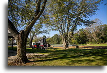 Our Campsite::Montrose, IL, USA::