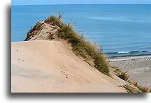 Lake Michigan Shore #1::Indiana Dunes, Indiana, USA::