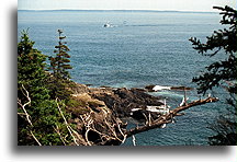 Quoddy Narrows #2::Maine, United States::