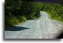 Road in North Maine Woods::Maine, USA::