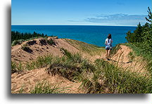 Grass on Sand Dunes::Grand Sable Dunes. Michigan, USA::