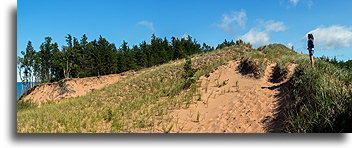 Forest and Dunes::Grand Sable Dunes. Michigan, USA::