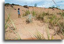 Sleeping Bear Dunes